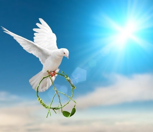 Oração, trabalho e Paz – Paiva Netto