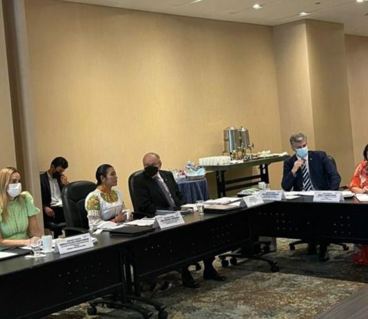 Senadora Daniella Ribeiro discute criminalização do ciberespaço em reunião do Parlatino