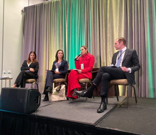 Daniella Ribeiro participa do Brazil Conference realizado em Boston. A senadora falou no painel sobre segurança pública e destacou o problema da violência política de gênero