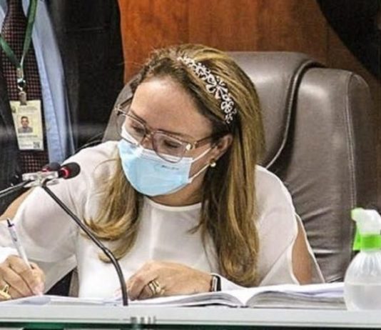 POLÍTICA: Eva Gouveia vai tirar licença e Pimentel retorna à CMCG