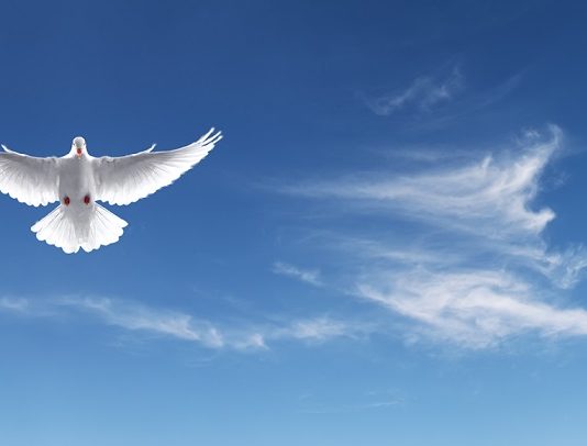 Paz: obra pessoal de Jesus – Paiva Netto