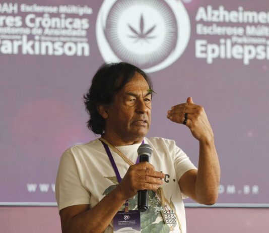 Saúde: pesquisa e uso da cannabis avançaram no Brasil nos últimos anos. Tema foi debatido em seminário da Fiocruz e Associação no RJ