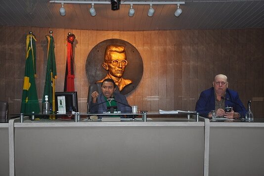 Câmara promove audiência pública para discutir o direito à saúde da criança e do adolescente