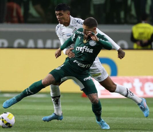 Palmeiras derrota Santos e amplia vantagem na ponta do Brasileirão. América-MG bateu Corinthians e Juventude empatou com Fortaleza