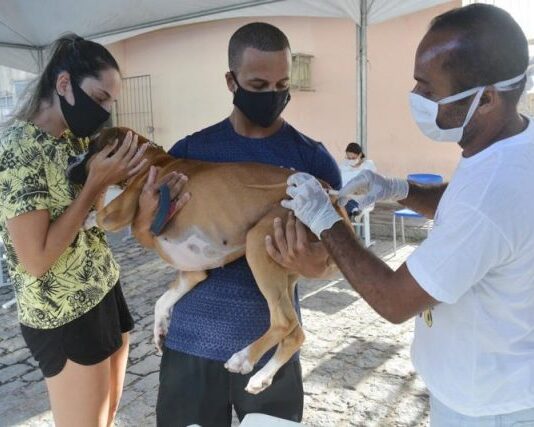 Dia D de vacinação antirrábica acontece em João Pessoa e Campina Grande neste sábado (24)