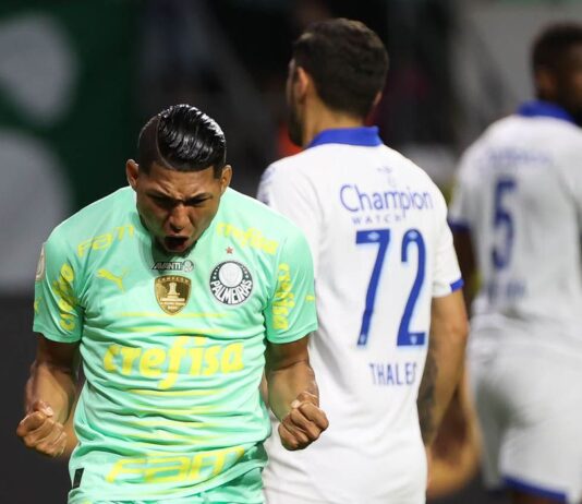 Palmeiras bate Avaí e amplia folga na ponta do Brasileiro. Vitória deixa o Verdão com 11 de vantagem sobre o Internacional