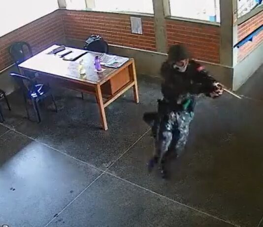 POLICIAL: Atirador que invadiu escolas no Espírito Santo e deixou três mortos é detido