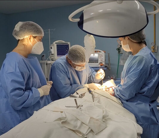 Hospital de Clínicas abre atendimento odontológico para pessoas com necessidades especiais