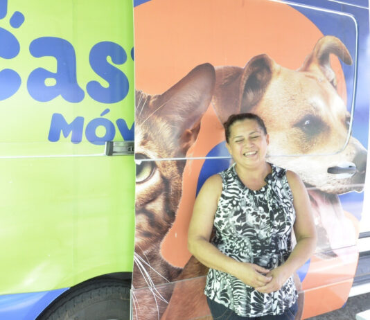 Prefeitura de Campina Grande inicia cirurgias do Castramóvel