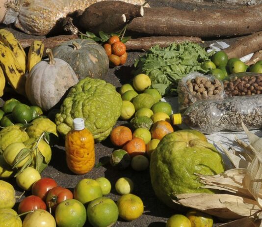 Moradores do campo também são afetados pela fome no Brasil. Insegurança alimentar não poupa nem os produtores de alimentos