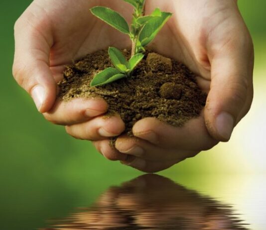 Sustentabilidade e reeducação – Paiva Netto