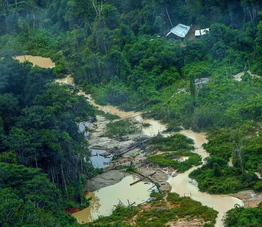Greenpeace informa registro de 176 escavadeiras em terras Yanomami. ONG pede que fabricantes participem do combate ao garimpo ilegal