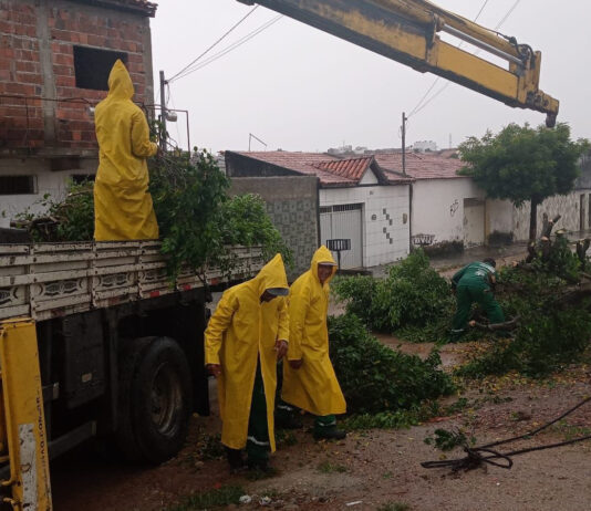 Com chegada das chuvas, Prefeitura de Campina Grande intensifica vistoria e podas de árvores em toda cidade