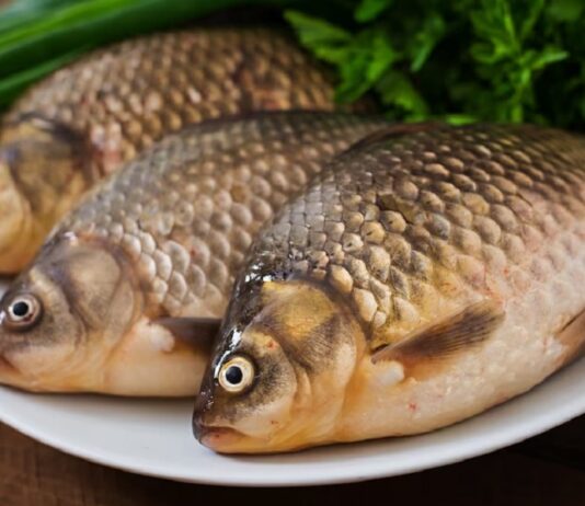 Semana Santa: Conheça os benefícios do peixe para a saúde