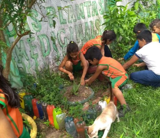 Bullying: combate deve ser feito de forma coletiva e intersetorial. Um em cada três alunos em todo o mundo já sofreu este tipo de ofensa