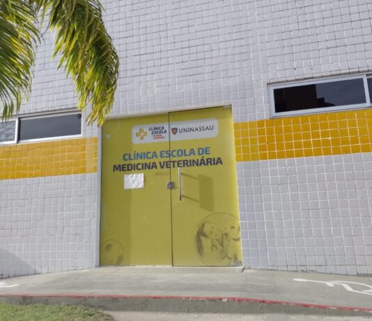 Em Campina, Clínica-Escola Veterinária abre vagas para avaliar Pets