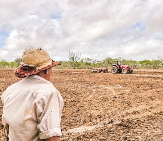 Prefeitura de Boa Vista fortalece a agricultura e impulsiona o desenvolvimento rural