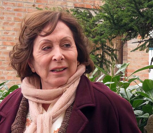 Morre, aos 83 anos, a atriz Aracy Balabanian. Artista estava internada em clínica no Rio de Janeiro