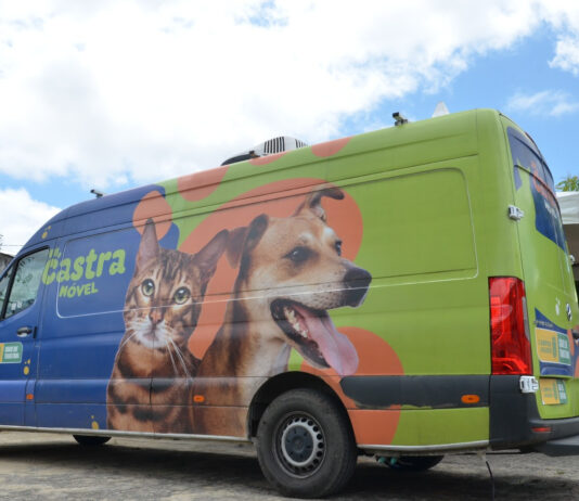 Castramóvel ultrapassa mil cirurgias e Centro de Controle de Zoonoses realiza mais de três mil procedimentos