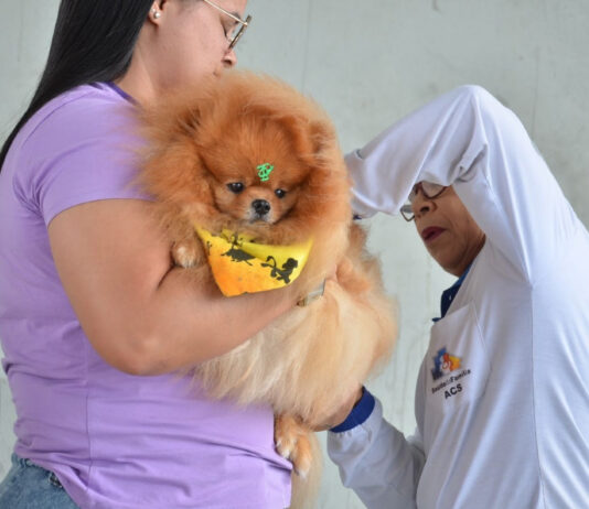 Vacinação antirrábica: CG aplica 100% das vacinas recebidas e aguarda mais doses para novas ações da campanha