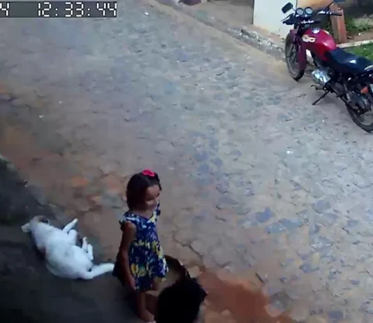 Caso Ana Sophia: Justiça decreta prisão temporária de suspeito desaparecido