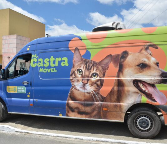 Prefeitura de Campina inicia, nesta sexta-feira, as inscrições para agendamento de cirurgias de castração