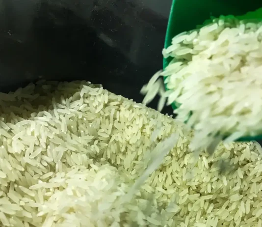 Governo autoriza compra de 1 milhão de toneladas de arroz. Intuito é garantir o abastecimento em todo o país