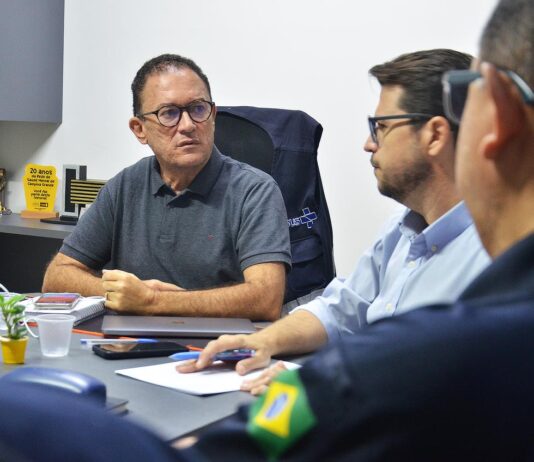 Prefeitura de Campina Grande discute operação para resgate de animais soltos nas vias públicas