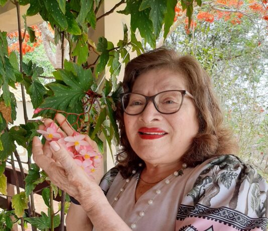 Vereador Anderson Pila propõe Medalha de Honra ao Mérito em homenagem à Vereadora Maria Lopes Barbosa