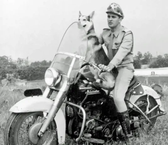 Morre em São Paulo Carlos Miranda, o Vigilante Rodoviário. Após seriado, ator fez carreira na Polícia Militar