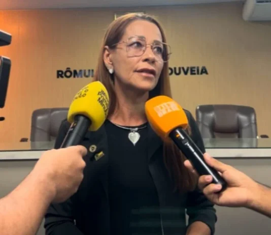 Aninha Cardoso propõe medidas para aprimorar a transparência e controle no atendimento às gestantes na de saúde de Campina Grande