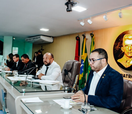 CMCG aprova 104 requerimentos e presta homenagem aos Agentes da STTP por vitória do Águia Piloto