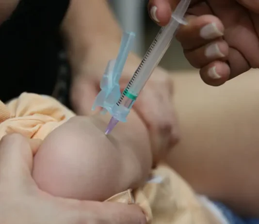 Campanha de vacinação contra a gripe começa nesta segunda-feira. Meta é imunizar 90% dos grupos prioritários, que incluem idosos