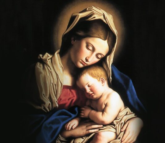 Coração de mãe não foge da dor do filho Paiva Netto