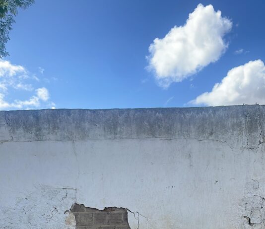 Vereador Sargento Wellington Cobra realiza vistoria no Cemitério do Cruzeiro e identifica risco de desabamento