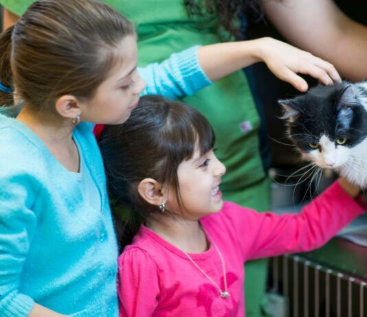 Tio Patinhas: Evento de adoção de cães e gatos acontece neste sábado em supermercado de Campina Grande