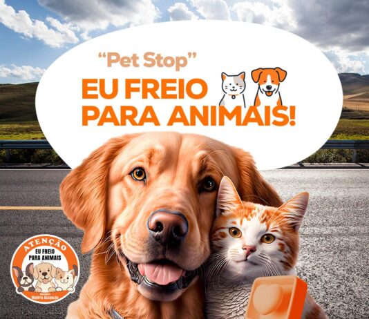 Waléria Assunção promove “Pet Stop – Eu Freio para Animais!” no Maio Amarelo nesta sexta-feira (23)