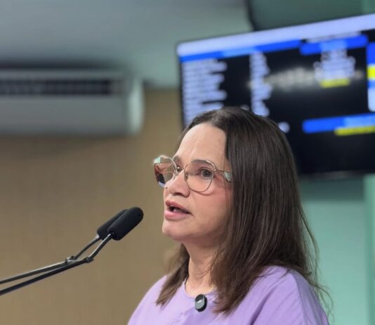 Câmara aprova projeto de Ivonete Ludgério que garante ordenamento dos cabos de internet nos postes de Campina Grande