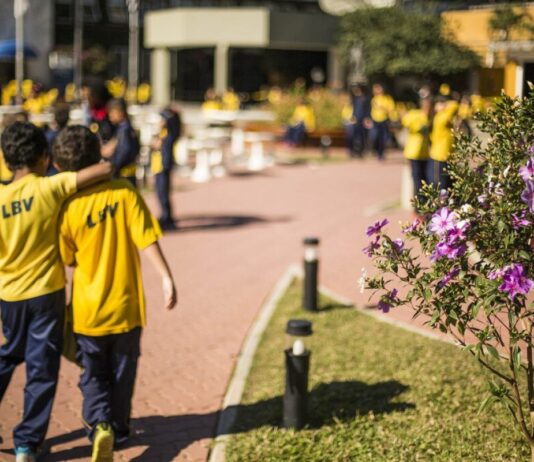 LBV celebra o Dia do Amigo com ações solidárias por todo o país