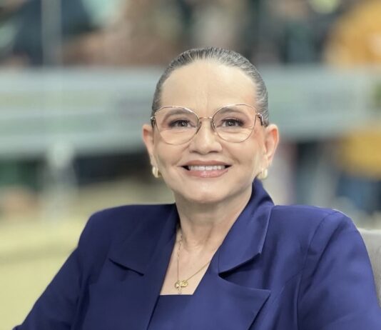 Projeto de Lei: criação da Secretaria Municipal de Proteção Animal