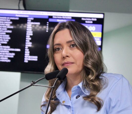 Projeto de Waléria Assunção vira lei e estabelece regras para a condução responsável de cães