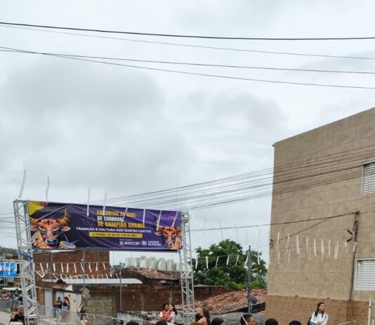 3º Encontro de Bois de Carnaval de Campina Grande começou neste domingo no bairro do Jeremias