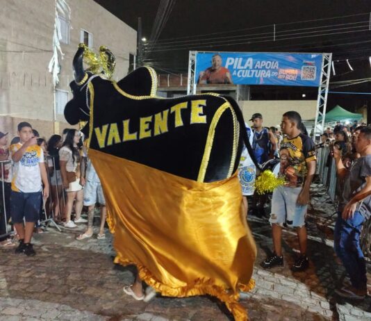 Bois de carnaval se reúnem no próximo domingo na Vila Cabral de Santa Rosa