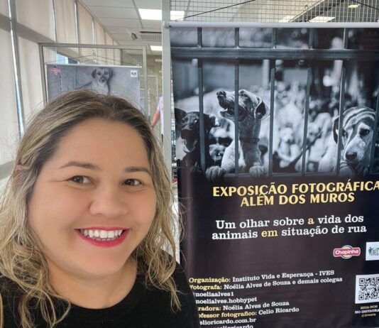 Exposição fotográfica “Além dos Muros”, no Shopping Luiza Motta, convida público a refletir sobre a causa animal