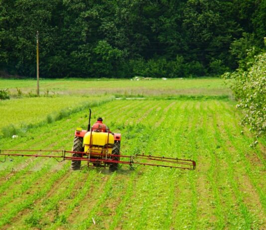 Crédito rural cresce 18,3% na Paraíba e ultrapassa R$ 1,65 bilhão, aponta BC