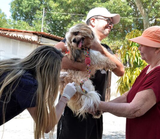 Prefeitura de Campina Grande realiza segundo Dia D de Vacinação Antirrábica neste sábado (12)
