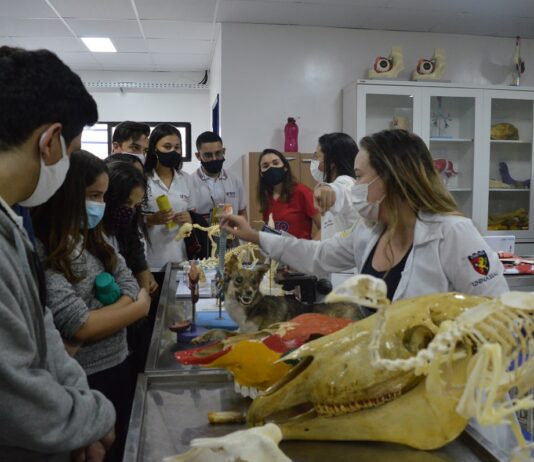 UNINASSAU Campina Grande realiza o Mostra Campus